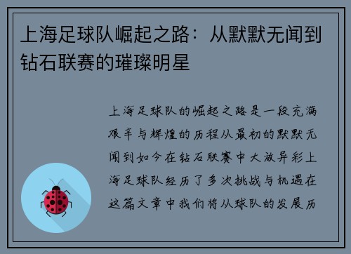 上海足球队崛起之路：从默默无闻到钻石联赛的璀璨明星