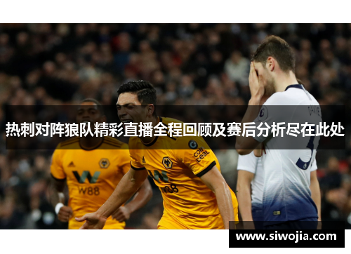 热刺对阵狼队精彩直播全程回顾及赛后分析尽在此处